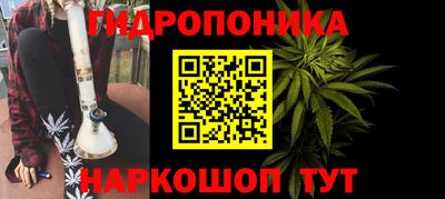 PSILOCYBIN Балахна