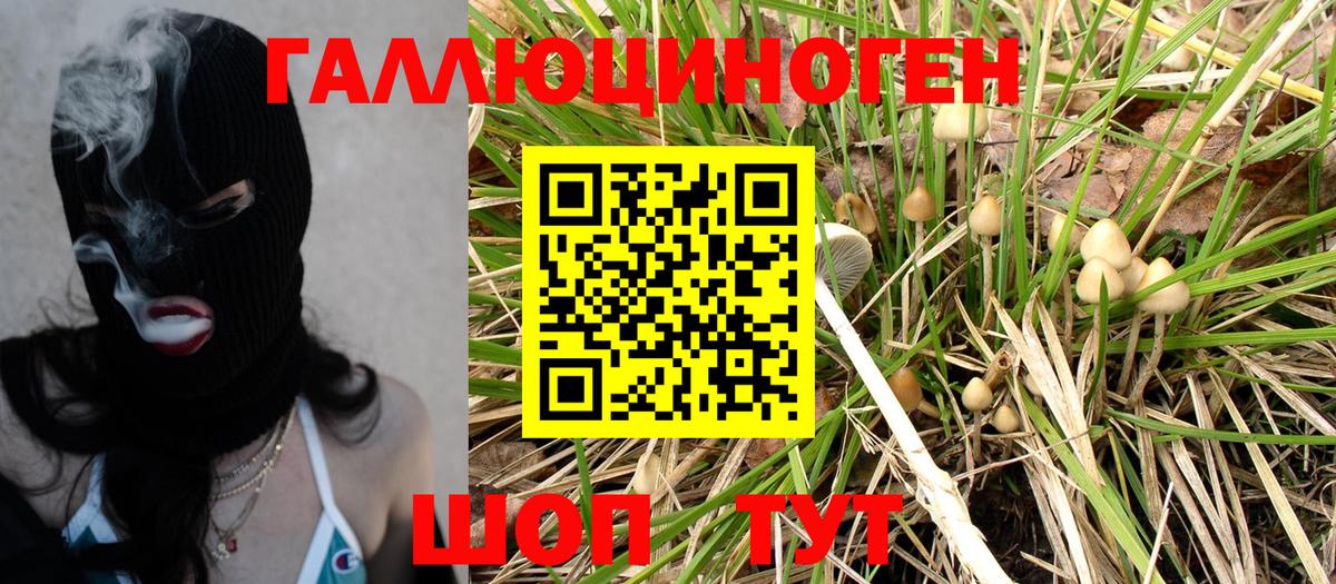 Купить наркотики цена  Кокаин  Краснокаменск  Меф  Вход с VPN  ГАШ  Марихуана  Масло ТГК 