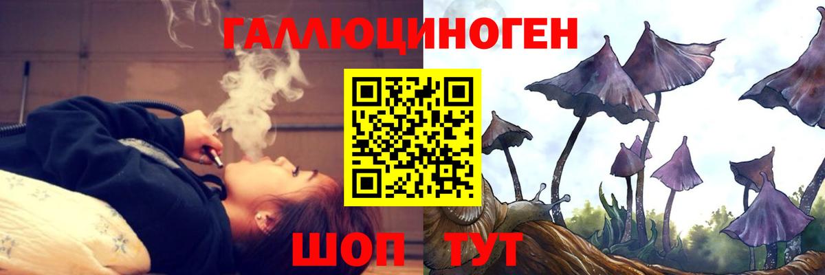 купить наркотик  Вход с VPN  Краснокаменск  Псилоцибиновые грибы Psilocybine cubensis  Галлюциногенные грибы Psilocybe 